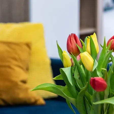 Potulicka Yellow Studio Štetín Exteriér fotografie