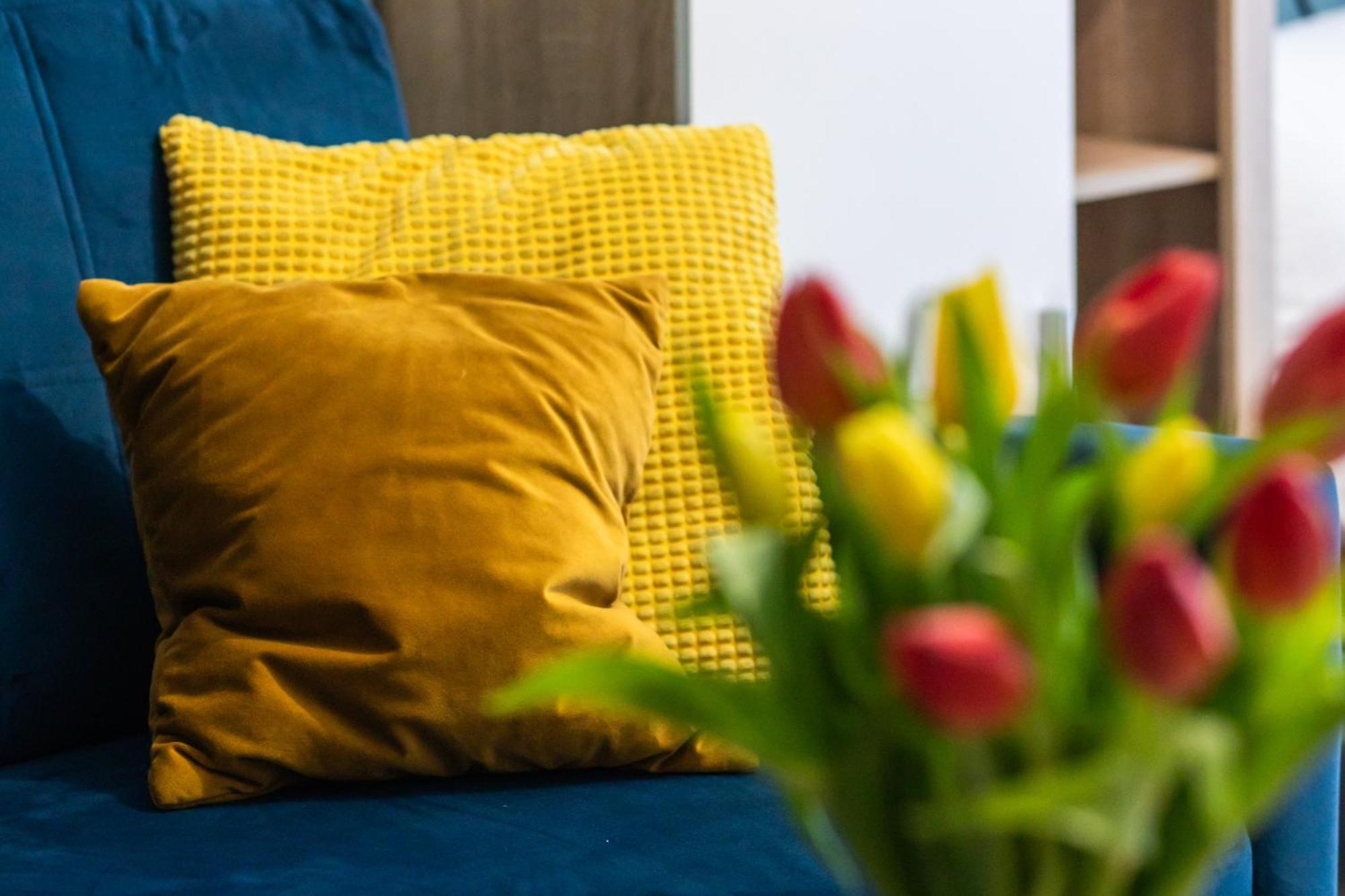 Apartment Potulicka Yellow *